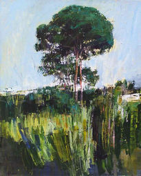 Pino de Cieza