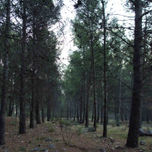 Paisajes thumbnail 1