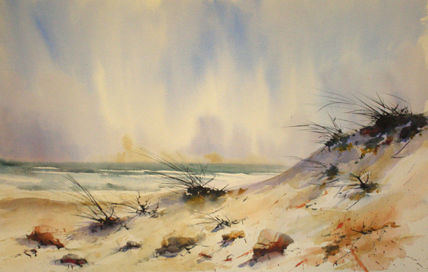Dunas delta del...