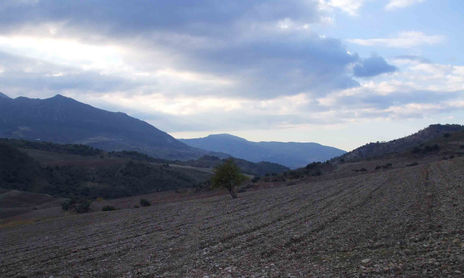 Paisajes