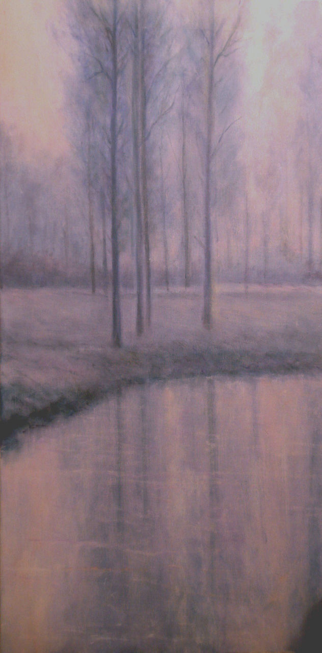 ARBOLES Y REFLEJOS