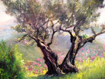 Olivo en primavera
