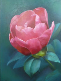 Peonia de febrero