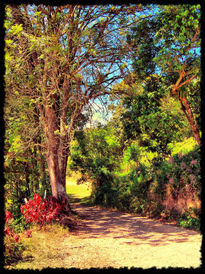 Sendero de La Victoria