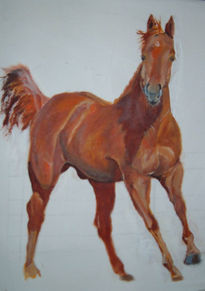 hORsE7