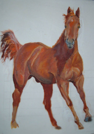 hORsE7 Acrylic Canvas Animals