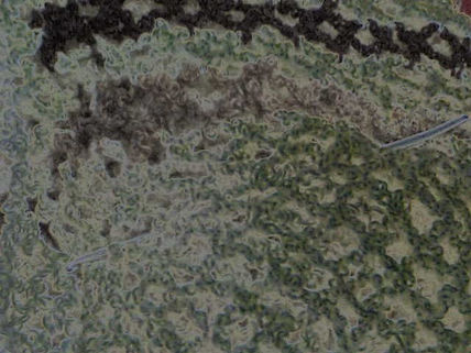 Red inconclusa