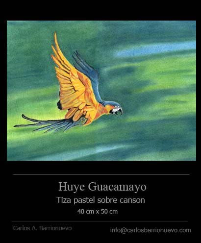 Huye guacamayo Pastel Papel Paisaje