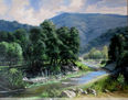 creek  road vista