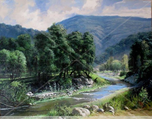 creek  road vista