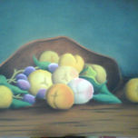 colecion 2009 thumbnail 1
