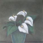 coleccion 2008 thumbnail 2