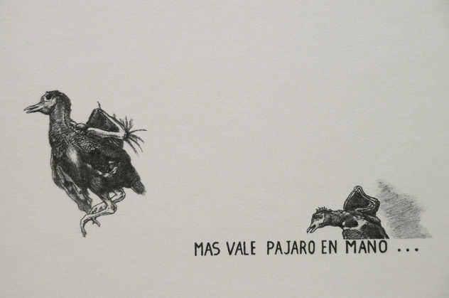 pajaro