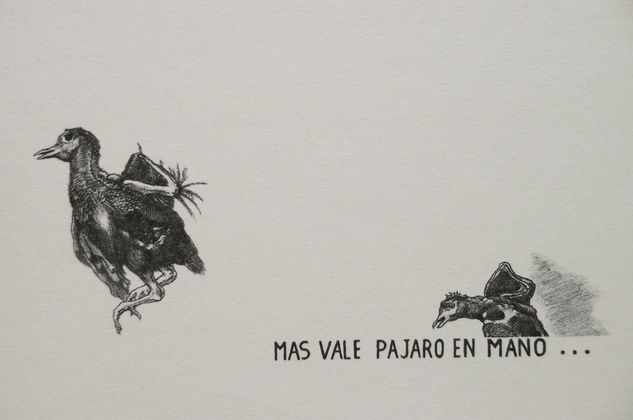 pajaro Litography