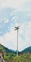 PALMAS I