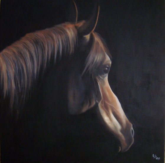 Solo un Caballo Oil Canvas Animals