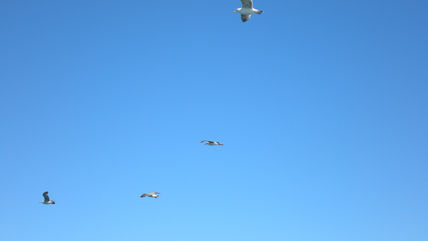 Mirando el cielo