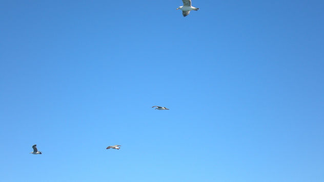 mirando el cielo