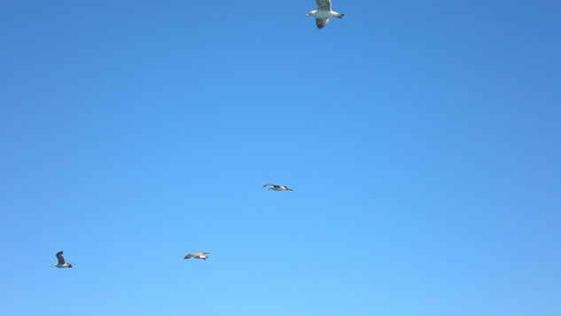 mirando el cielo 