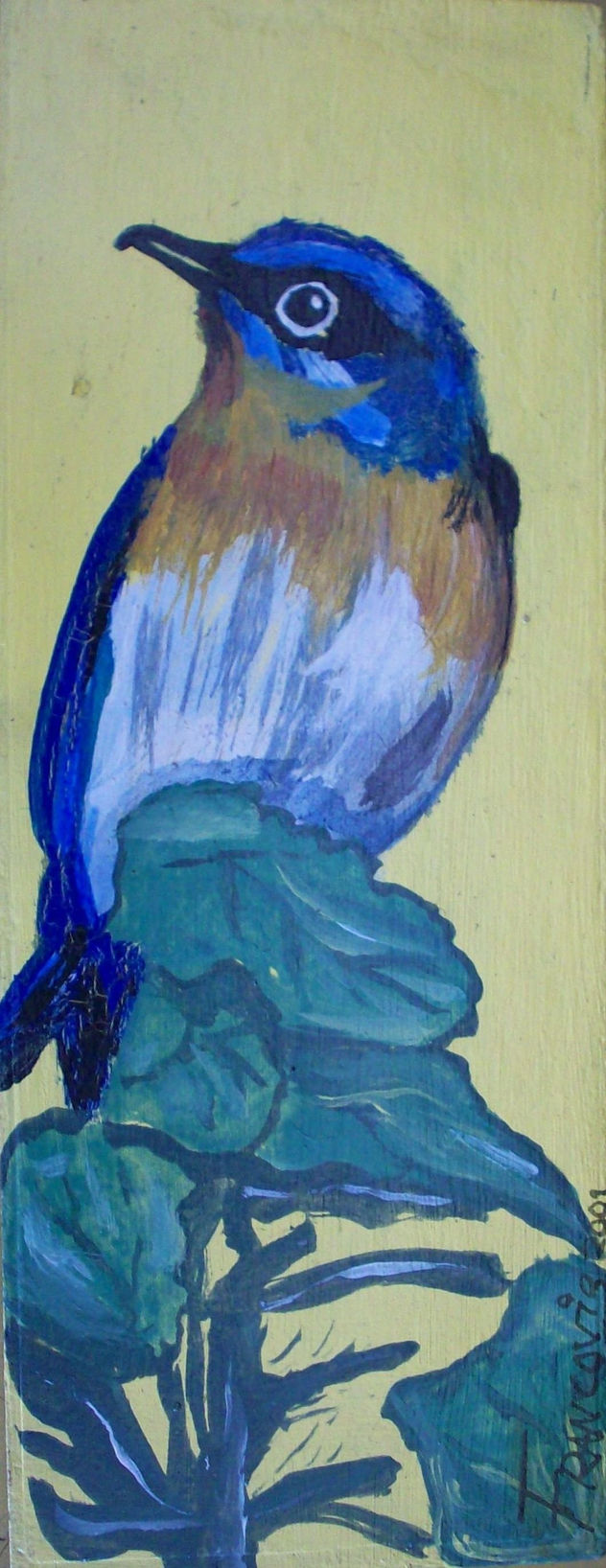 cabecita_azul_01