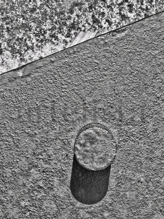 Detail from "Temple for Brancusi"