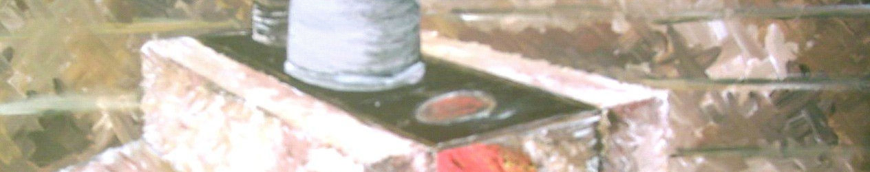 Imagen de portada