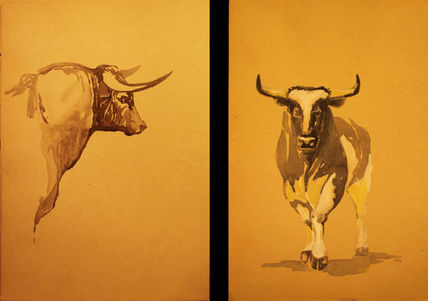 Los toros