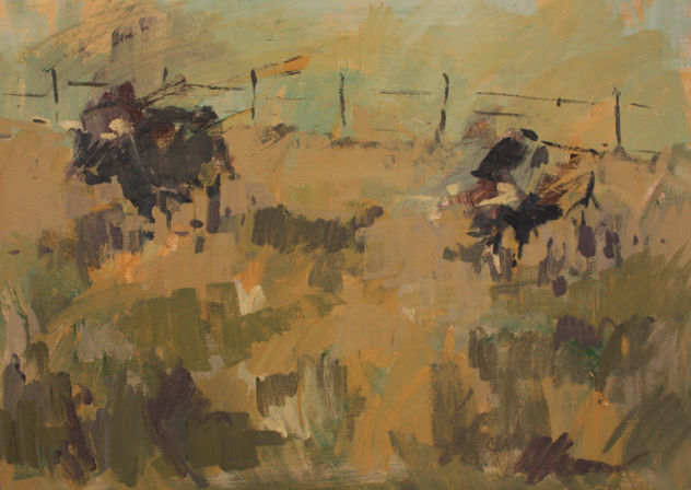 campo 2