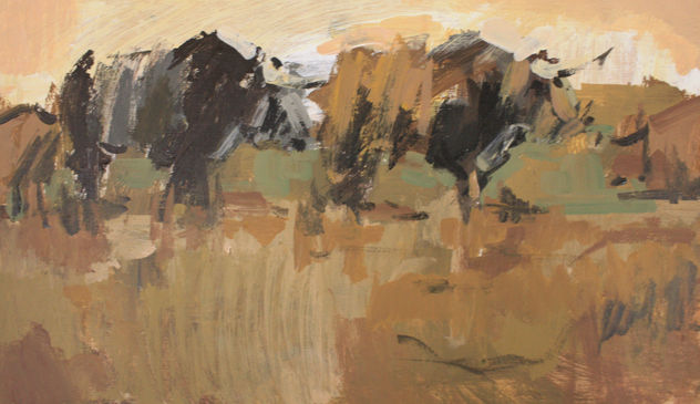 campo 3