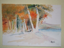 Copia de bosque