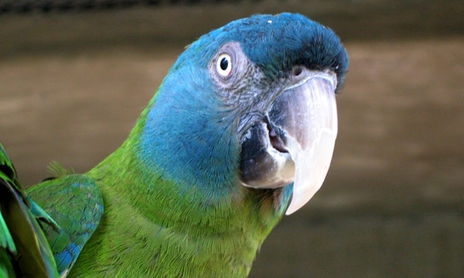 naturaleza