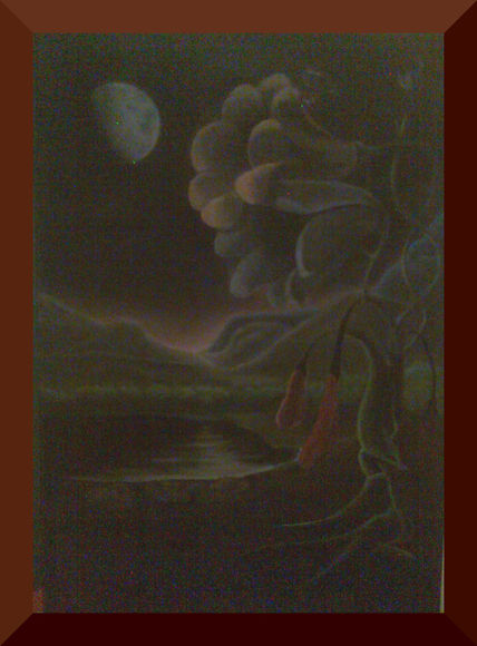 Paisatge nocturn...
