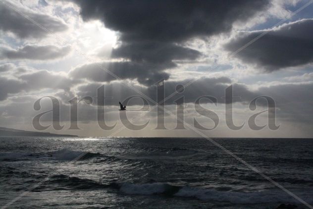 Libertad