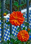 flores sobre azul y blanco
