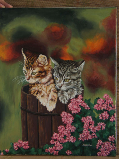 Gatos Oil Canvas Animals