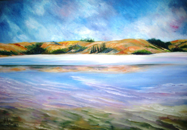 ISLA DE COCHE