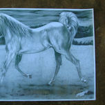 Caballos thumbnail 1