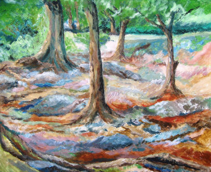 Las piedras del valle