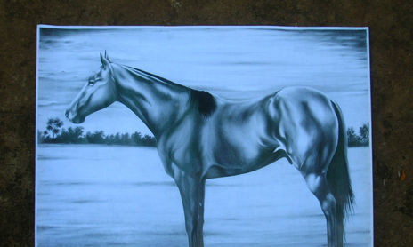 Caballos