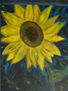 EL GIRASOL