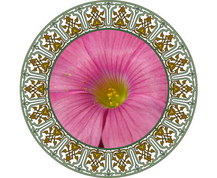 Flor