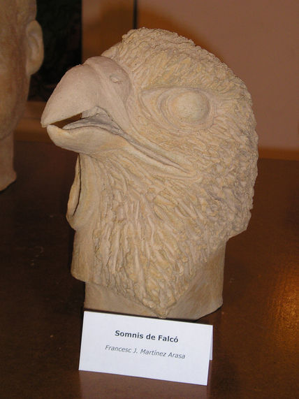 Sueños de halcon