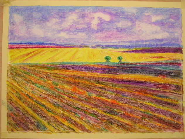 campo de cultivo