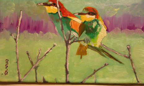 pinturas aves