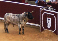 Feria taurina de...