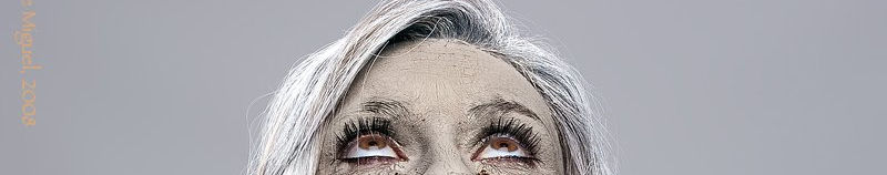 Imagen de portada