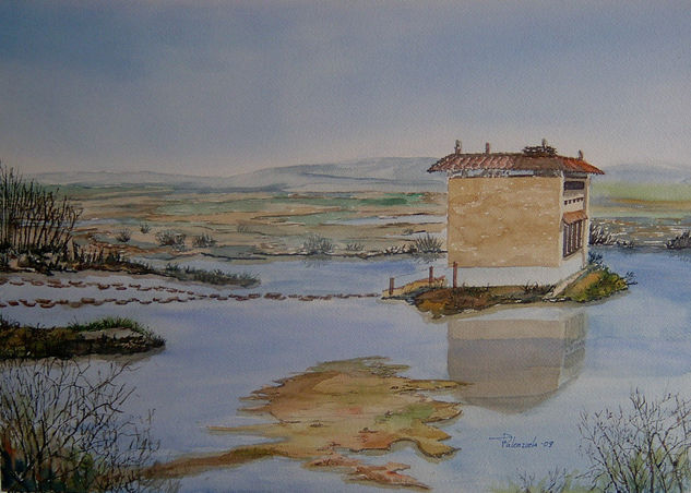 Laguna de Villafafila Watercolour Paper Landscaping