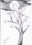boceto 5