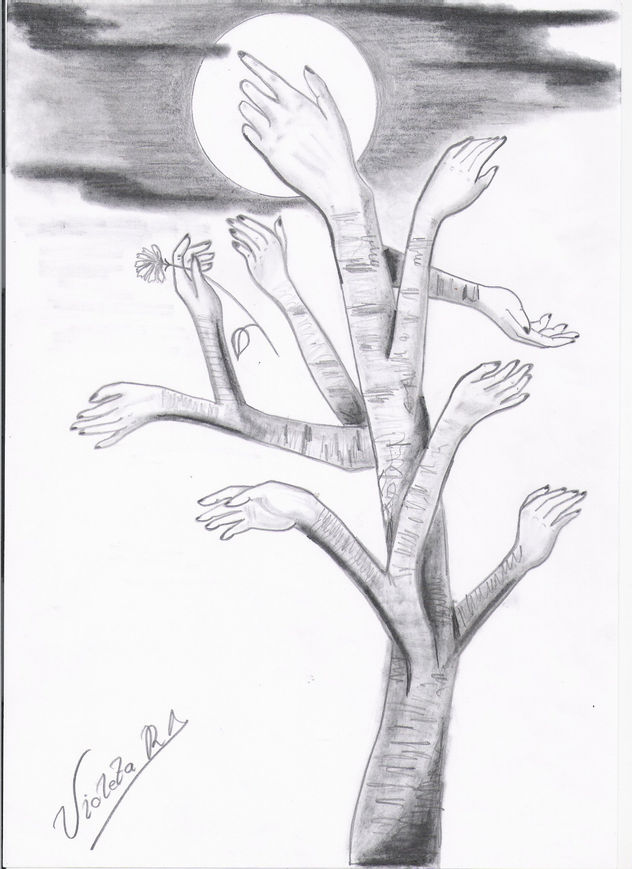 boceto 5