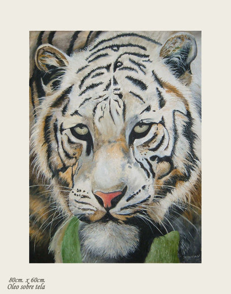 Tigre de Bengala